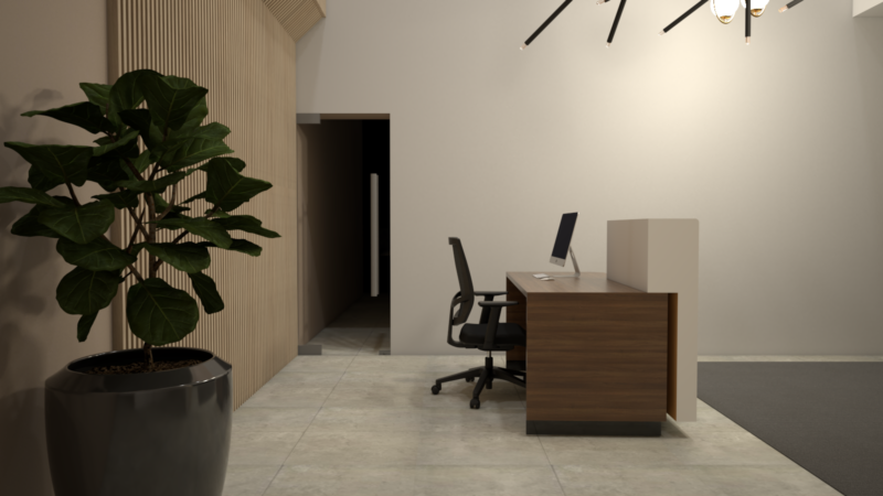 RECEPCIÓN LUMINA - Imagen 2