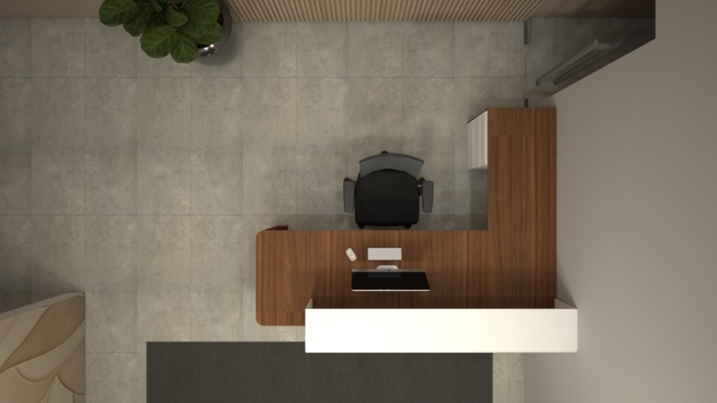 RECEPCIÓN DUAL - Imagen 3