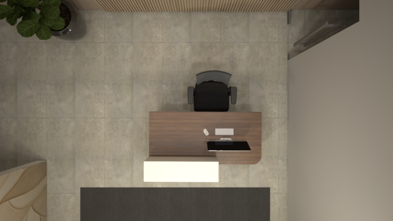 RECEPCIÓN LUMINA - Imagen 3